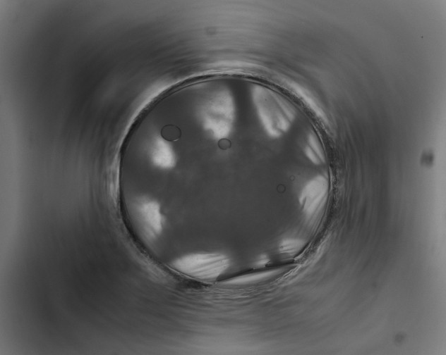 X0000102511275200809051401