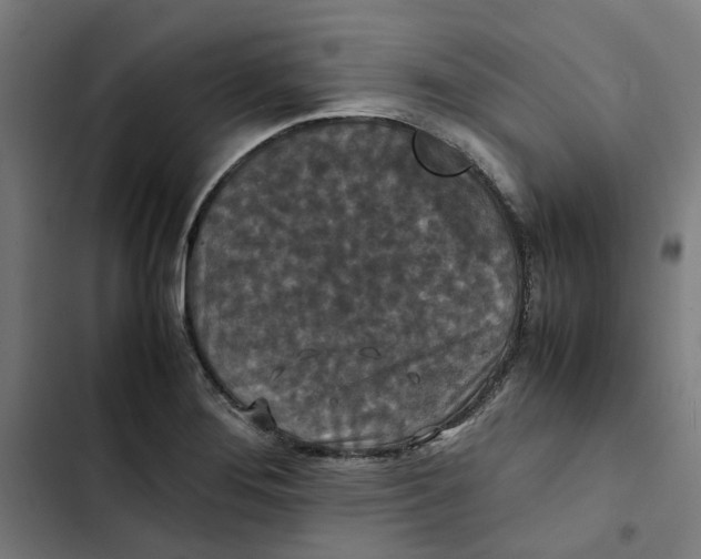 X0000102511276200809051401