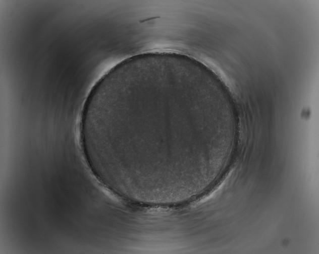 X0000102511277200809051401
