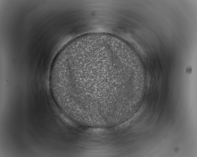 X0000102511278200809051401