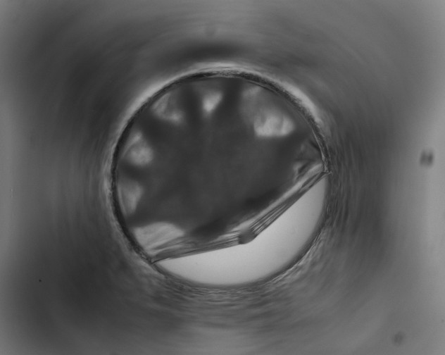 X0000102511279200809051401