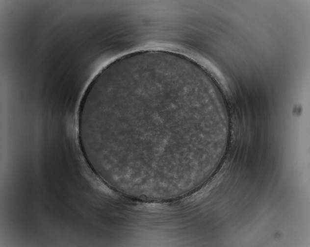 X0000102511280200809051401
