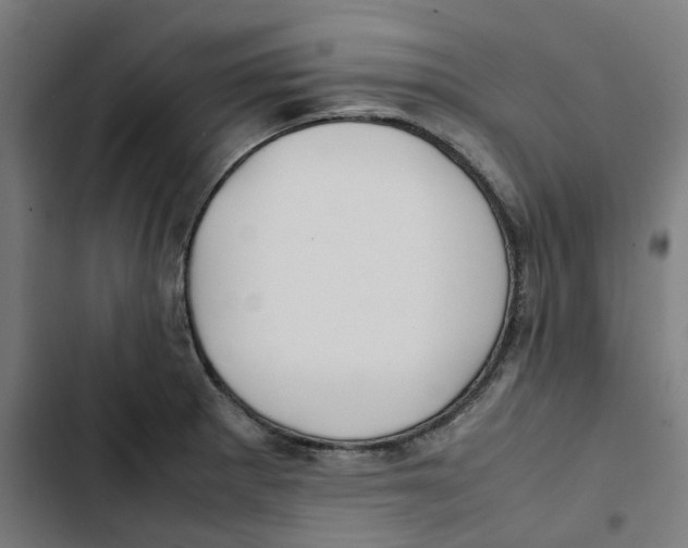 X0000102511281200809051401