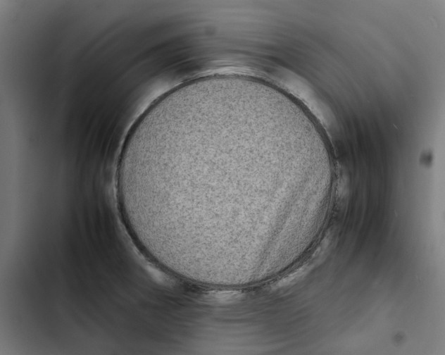 X0000102511282200809051401