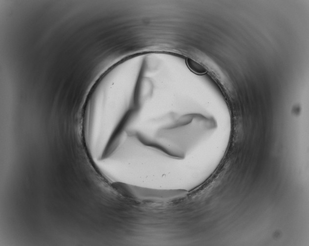X0000102511284200809051401