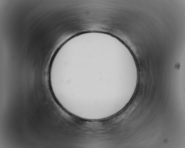 X0000102511285200809051401