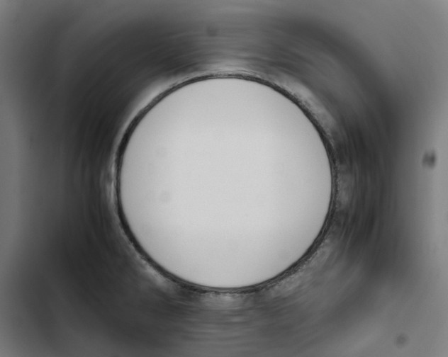 X0000102511286200809051401