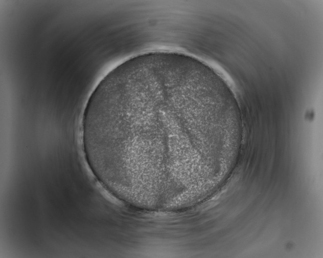 X0000102511287200809051401
