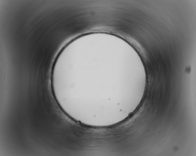 X0000102511288200809051401