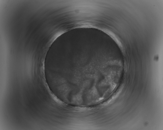 X0000102511289200809051401