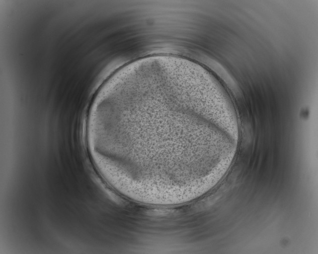 X0000102511290200809051401