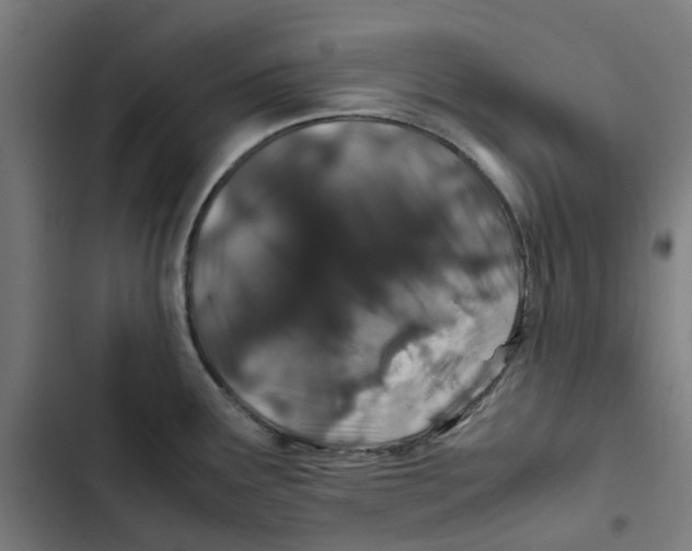 X0000102511291200809051401