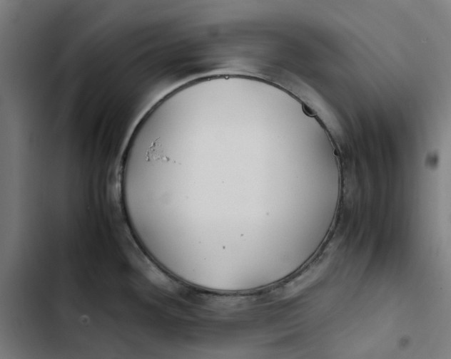 X0000102511292200809051401