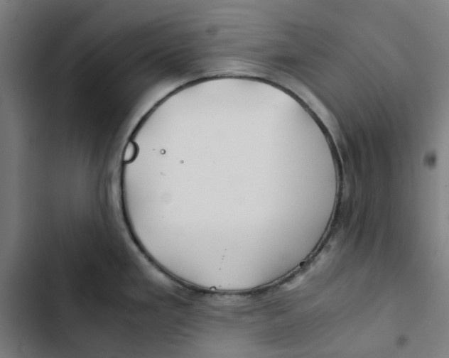 X0000102511293200809051401