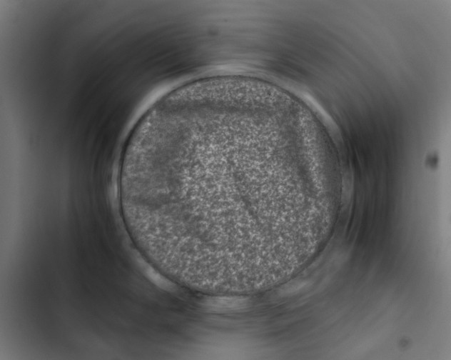 X0000102511294200809051401