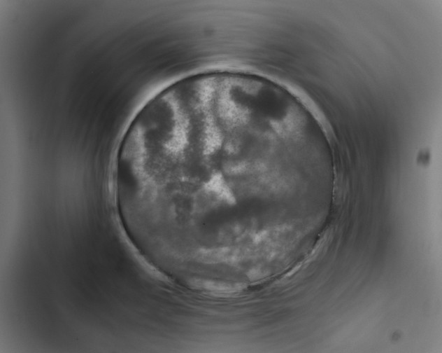 X0000102511295200809051401