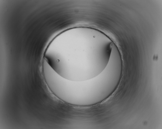 X0000102511296200809051401