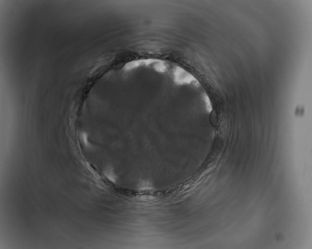 X0000102511297200809051400