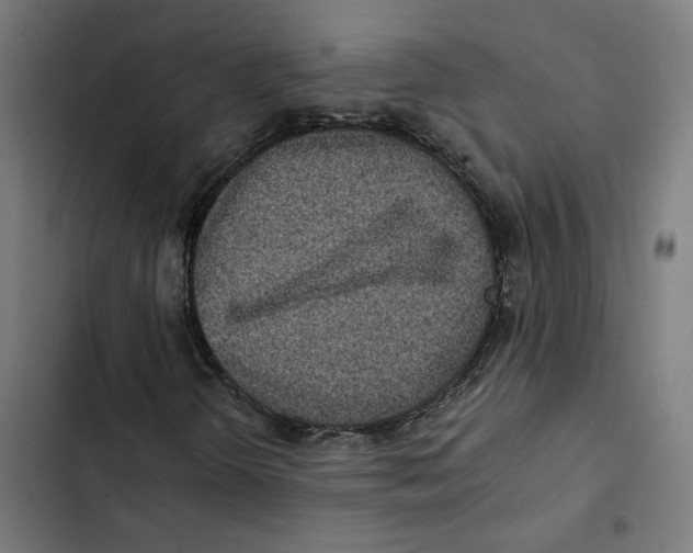 X0000102511298200809051400