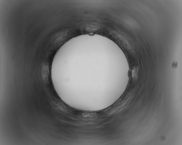 X0000102511299200809051400