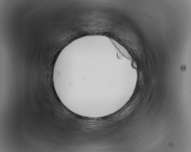 X0000102511300200809051400