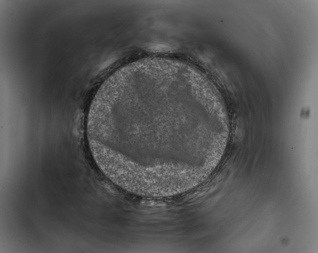 X0000102511301200809051400