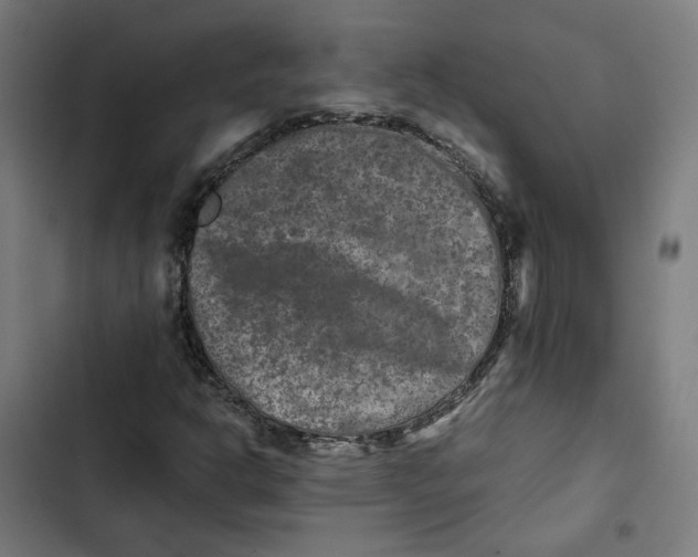 X0000102511302200809051400