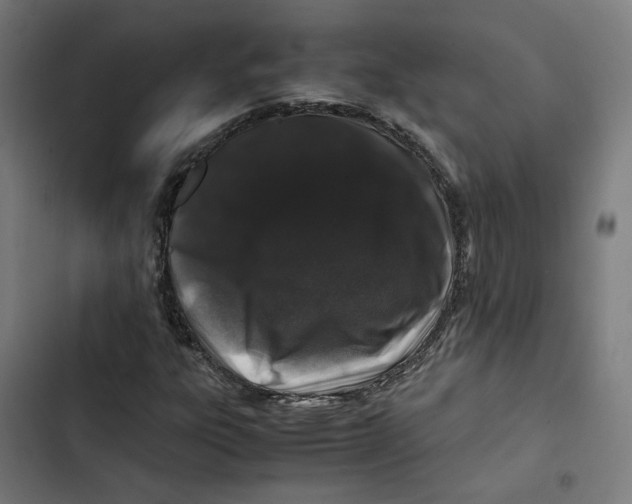 X0000102511303200809051400