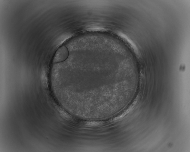 X0000102511305200809051400