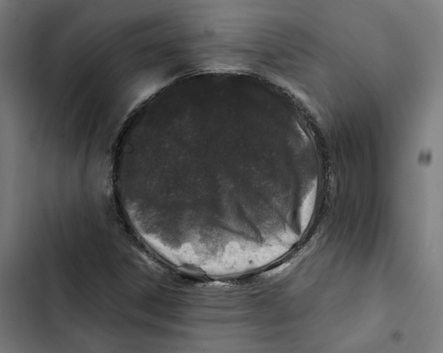 X0000102511306200809051400