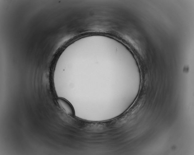 X0000102511307200809051400