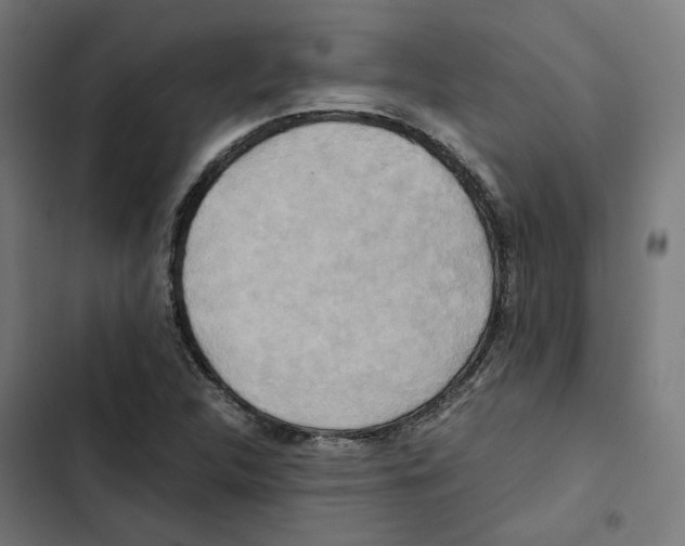 X0000102511312200809051400