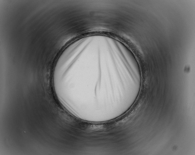 X0000102511313200809051400