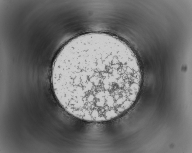 X0000102511314200809051400