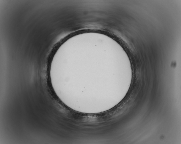 X0000102511315200809051400