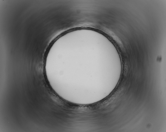 X0000102511316200809051400