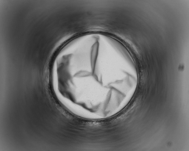 X0000102511317200809051400