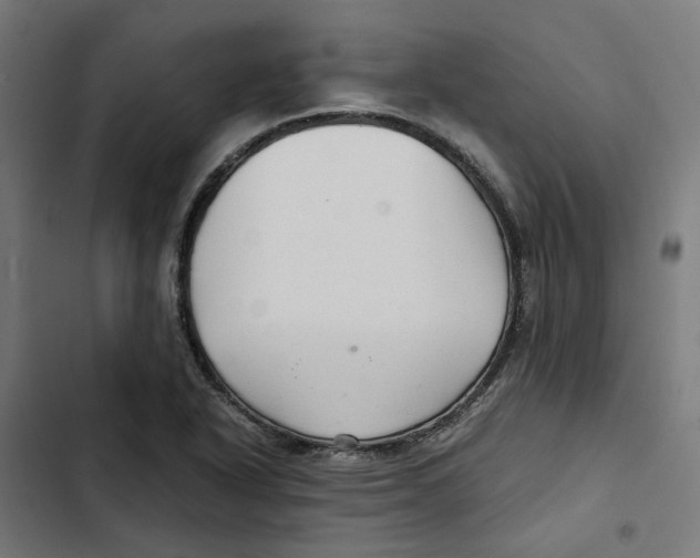 X0000102511318200809051400