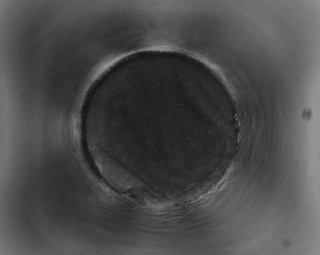 X0000102511319200809051400