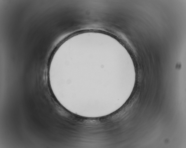 X0000102511320200809051400