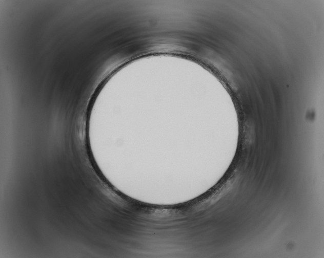 X0000102511322200809051400
