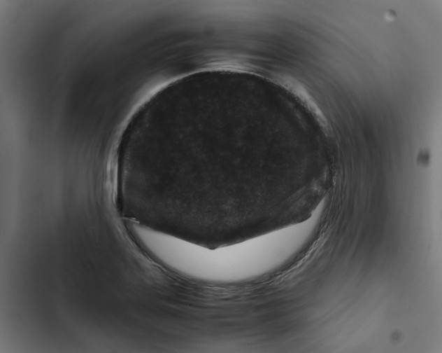 X0000102511323200809051400