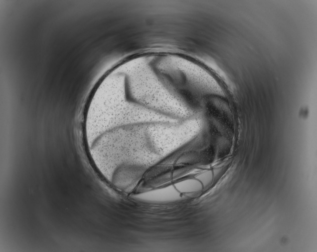 X0000102511325200809051400