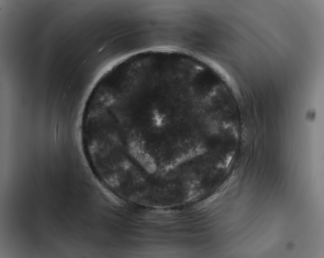 X0000102511327200809051400