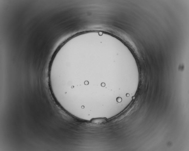 X0000102511328200809051400