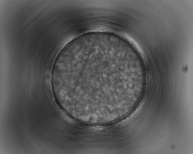 X0000102511329200809051400
