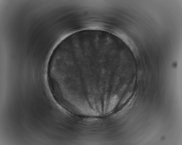 X0000102511331200809051400