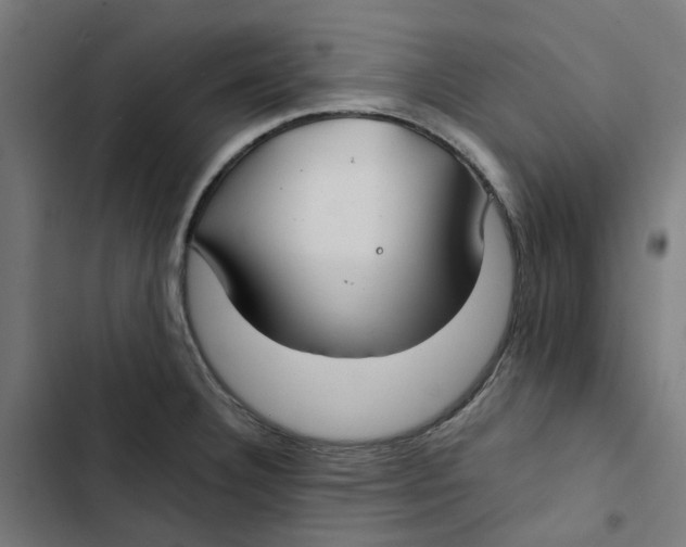 X0000102511332200809051400