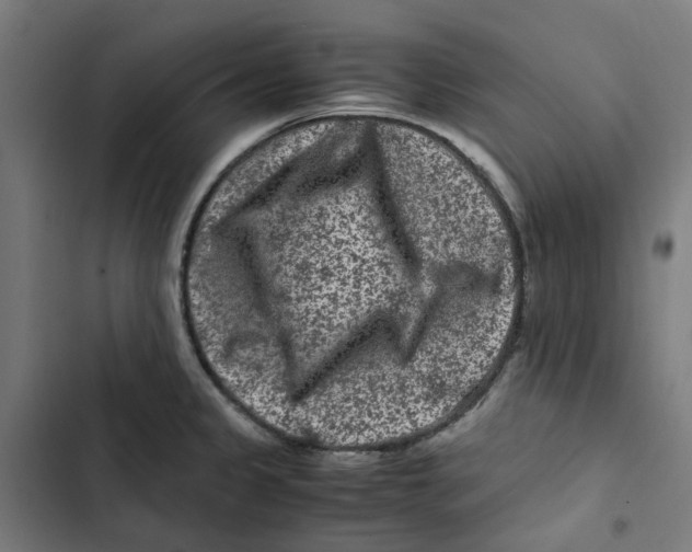 X0000102511333200809051401