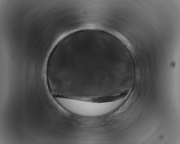 X0000102511334200809051401